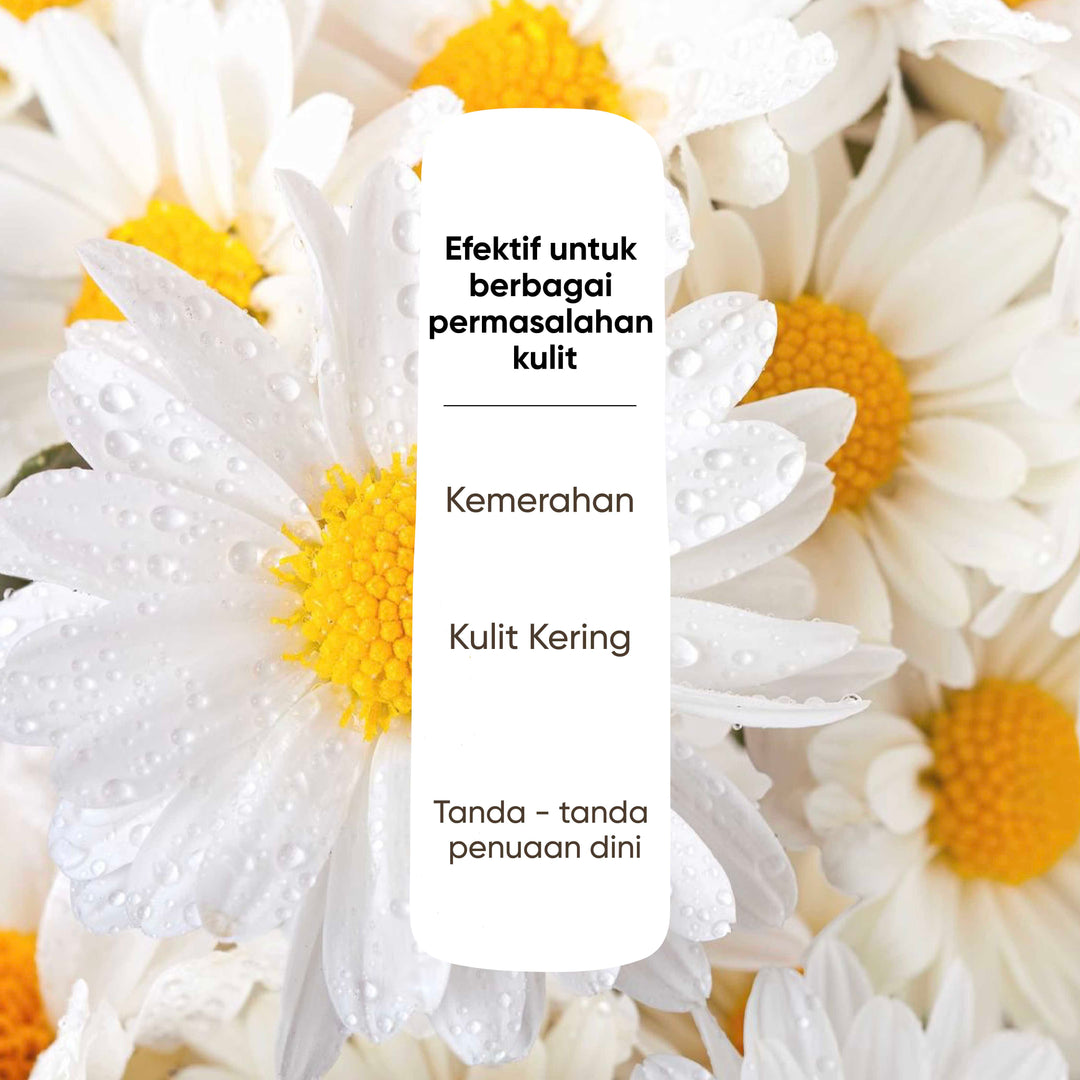 Votre Peau Combo : Retinol Serum + Saharan