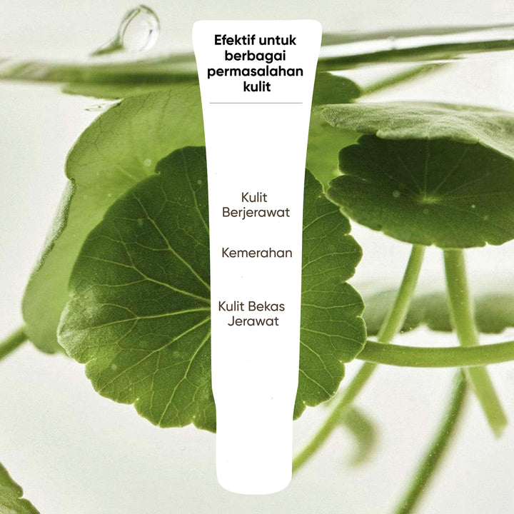 Biograft Glass Skin Salmon DNA Centella Asiatica Gel Serum