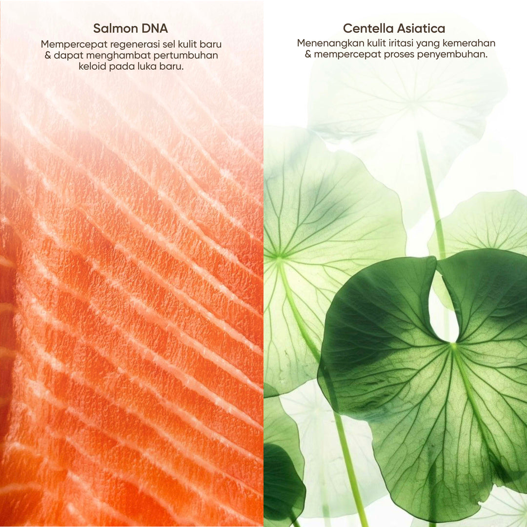 Biograft Glass Skin Salmon DNA Centella Asiatica Gel Serum