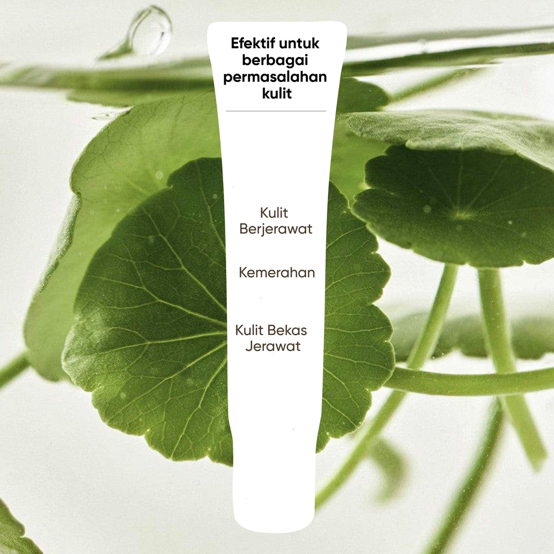 Votre Peau x Biograft Combo Pimple Punch Pack