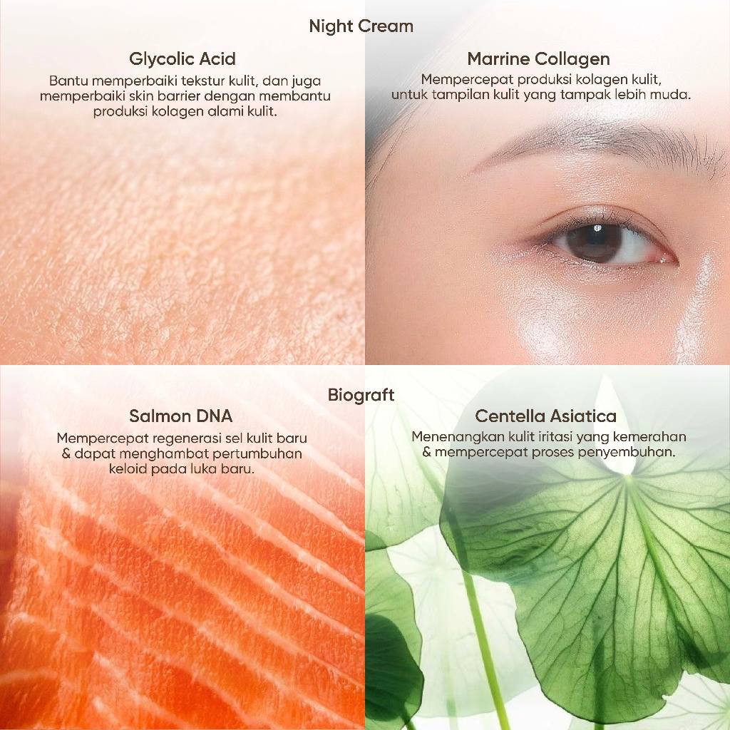 Biograft Glass Skin Perfect Duo