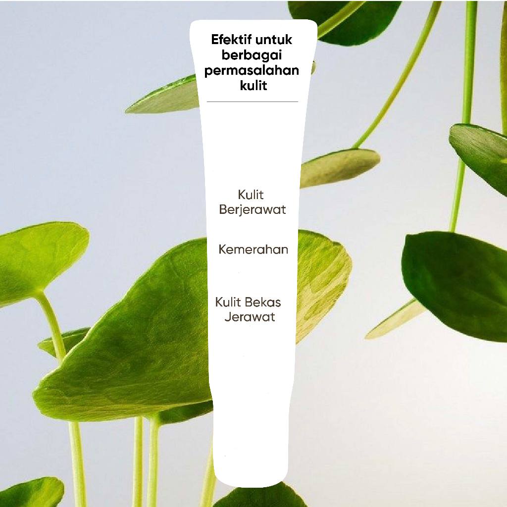 Biograft Salmon DNA Recovery Gel With Centella Asiatica