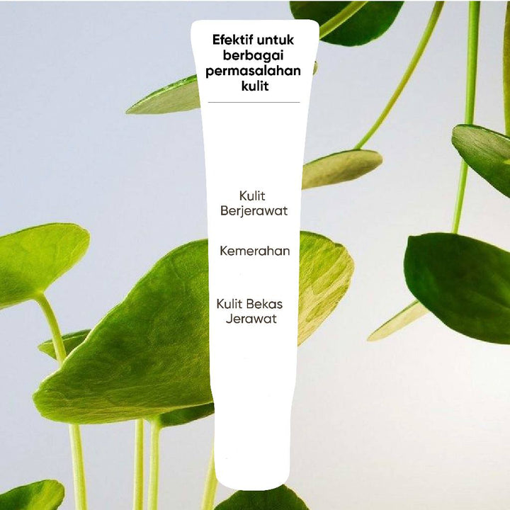 Biograft Salmon DNA Recovery Gel With Centella Asiatica