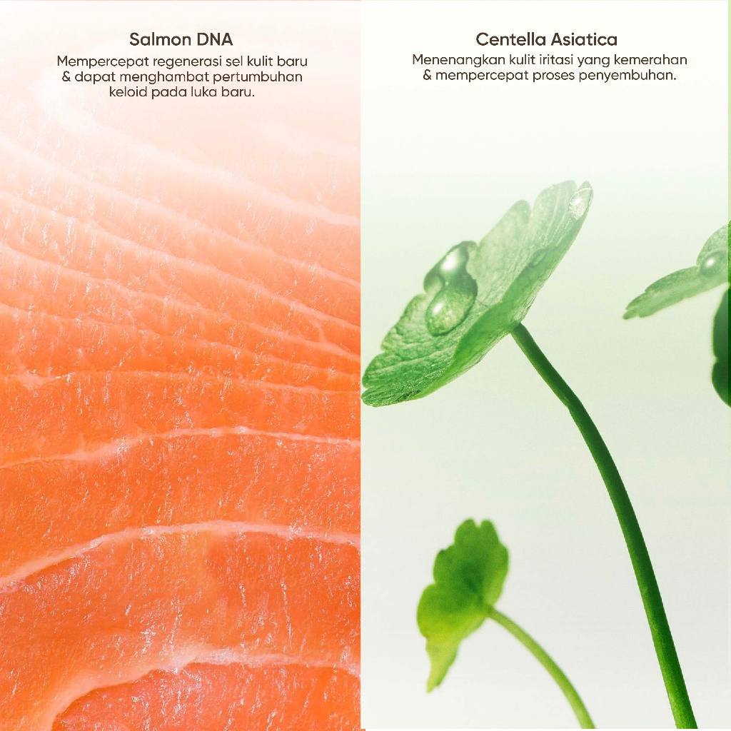 Biograft Salmon DNA Recovery Gel With Centella Asiatica